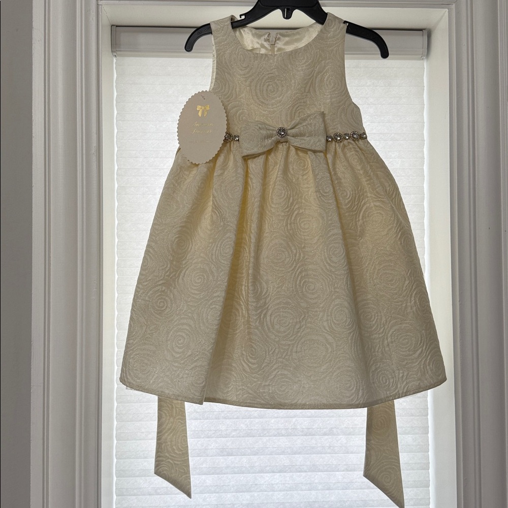 American Princess 3T dress NWT